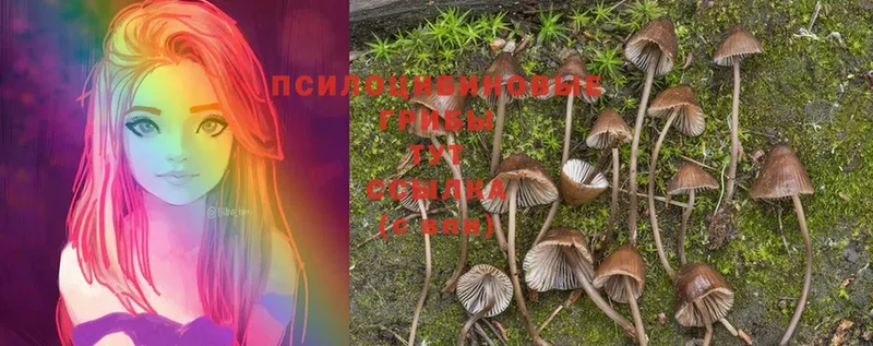 Псилоцибиновые грибы MAGIC MUSHROOMS  Уфа 